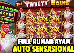 The Tweety House Slot Hari Ini Indonesia Open 2024 Hari Ini