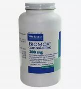 Yusimox Amoxicillin 500 Mg Untuk Apa